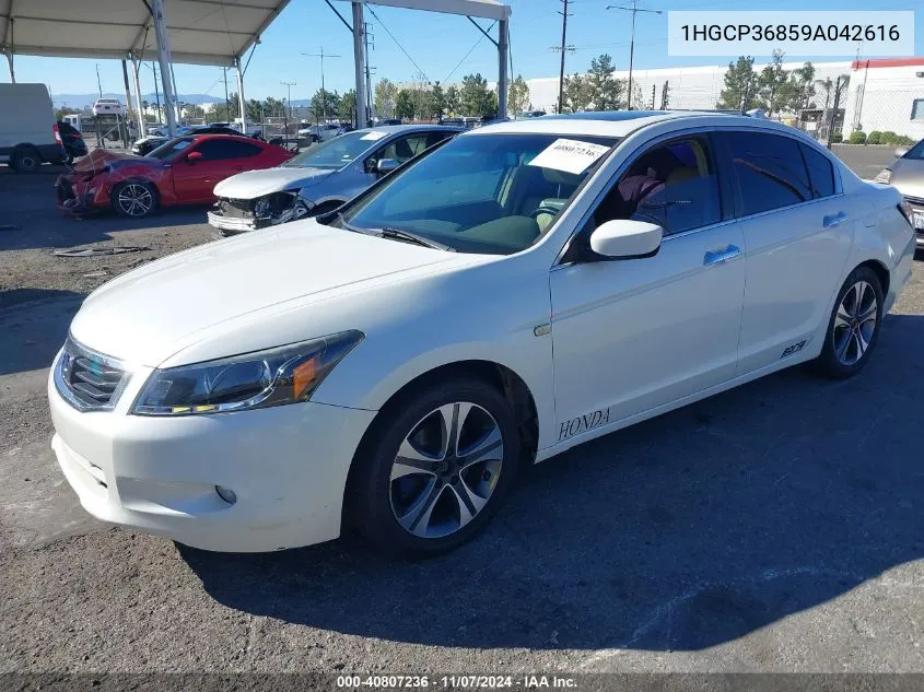 2009 Honda Accord 3.5 Ex-L VIN: 1HGCP36859A042616 Lot: 40807236