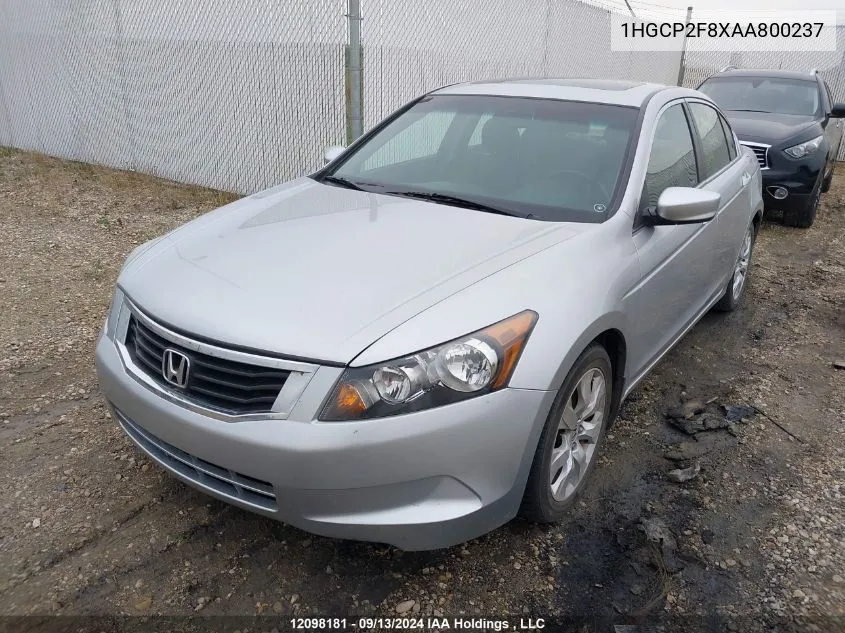 1HGCP2F8XAA800237 2010 Honda Accord Sedan