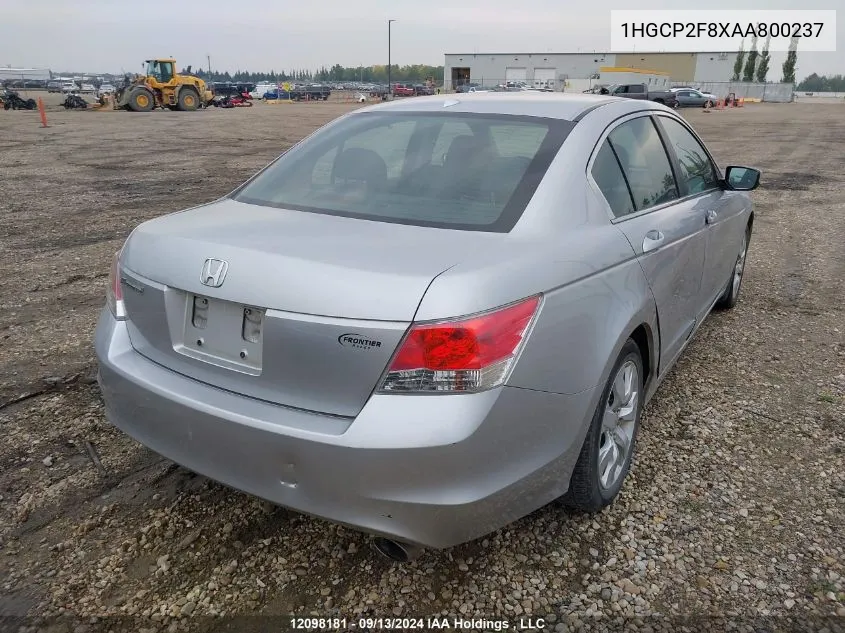 2010 Honda Accord Sedan VIN: 1HGCP2F8XAA800237 Lot: 12098181