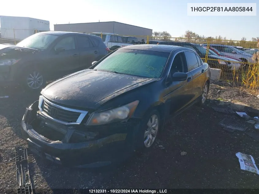 2010 Honda Accord Sedan VIN: 1HGCP2F81AA805844 Lot: 12132331