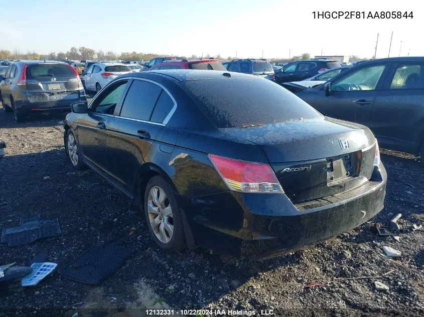 2010 Honda Accord Sedan VIN: 1HGCP2F81AA805844 Lot: 12132331