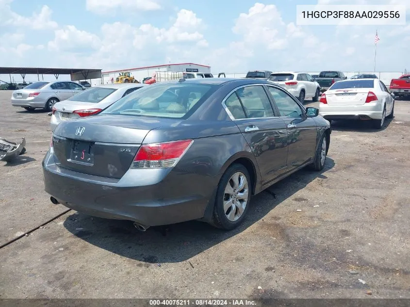 2010 Honda Accord 3.5 Ex-L VIN: 1HGCP3F88AA029556 Lot: 40075211