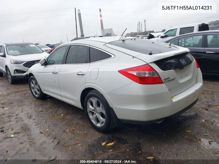 2010 Honda Accord Crosstour Ex-L VIN: 5J6TF1H55AL014231 Lot: 40454615