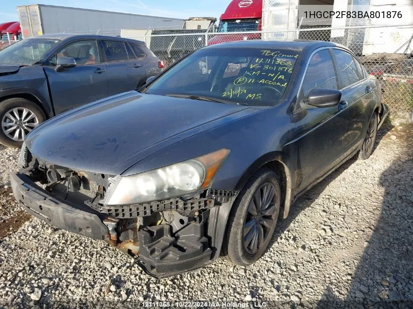 2011 Honda Accord Sedan VIN: 1HGCP2F83BA801876 Lot: 12111368