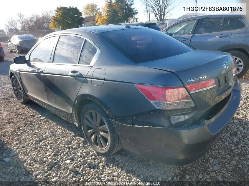 2011 Honda Accord Sedan VIN: 1HGCP2F83BA801876 Lot: 12111368