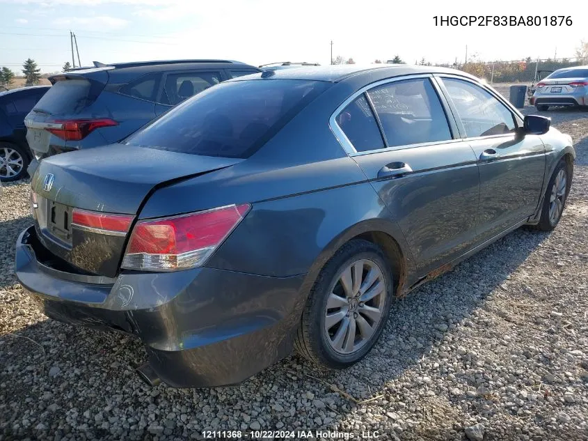 2011 Honda Accord Sedan VIN: 1HGCP2F83BA801876 Lot: 12111368