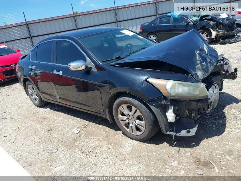 1HGCP2F61BA016318 2011 Honda Accord 2.4 Se