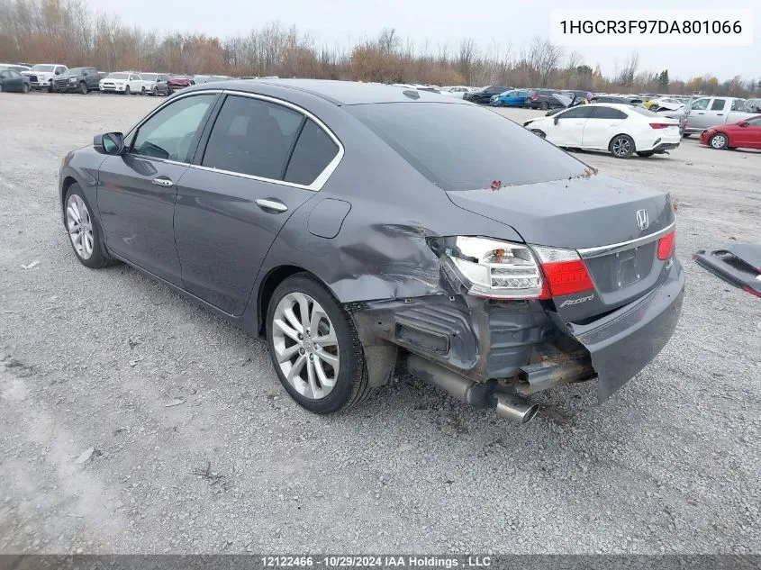 2013 Honda Accord Sedan VIN: 1HGCR3F97DA801066 Lot: 12122466