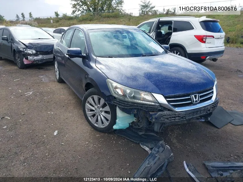 1HGCR3F81DA800616 2013 Honda Accord Sedan