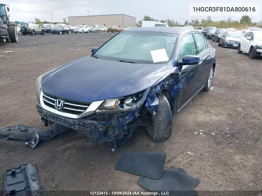 1HGCR3F81DA800616 2013 Honda Accord Sedan