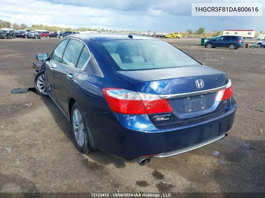 2013 Honda Accord Sedan VIN: 1HGCR3F81DA800616 Lot: 12123413