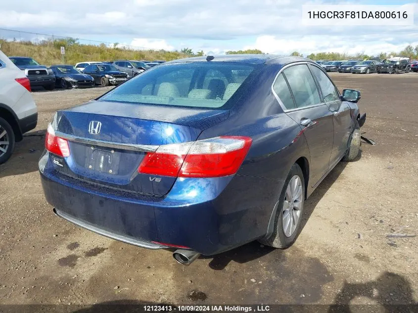 1HGCR3F81DA800616 2013 Honda Accord Sedan