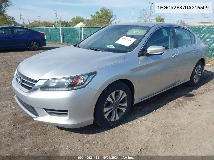 2013 Honda Accord Lx VIN: 1HGCR2F37DA216509 Lot: 40521431