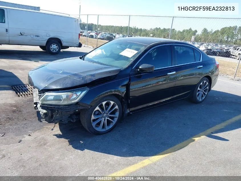 2014 Honda Accord Sport VIN: 1HGCR2F59EA232813 Lot: 40682828