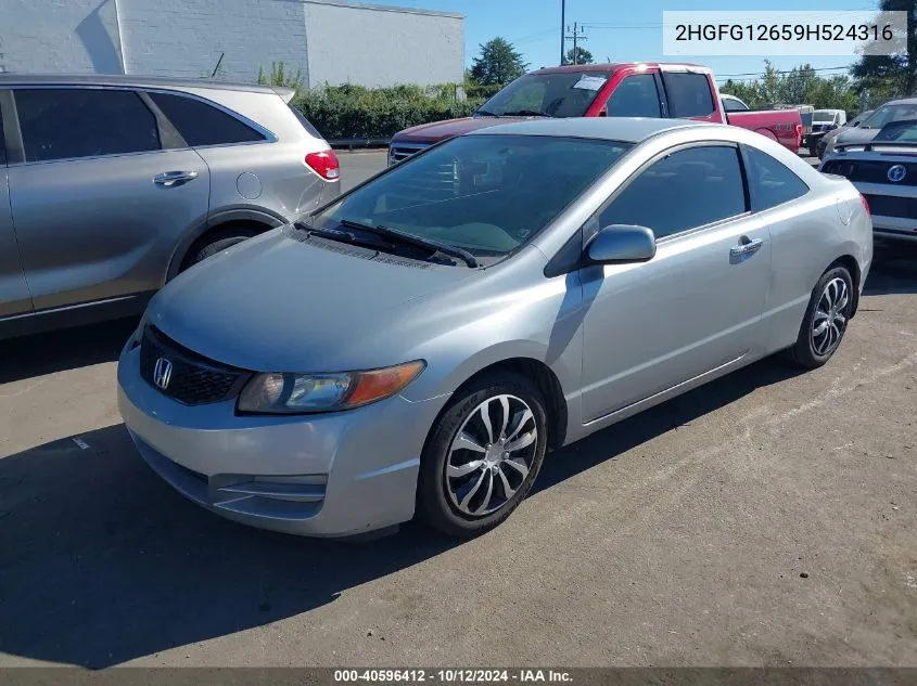 2HGFG12659H524316 2009 Honda Civic Lx