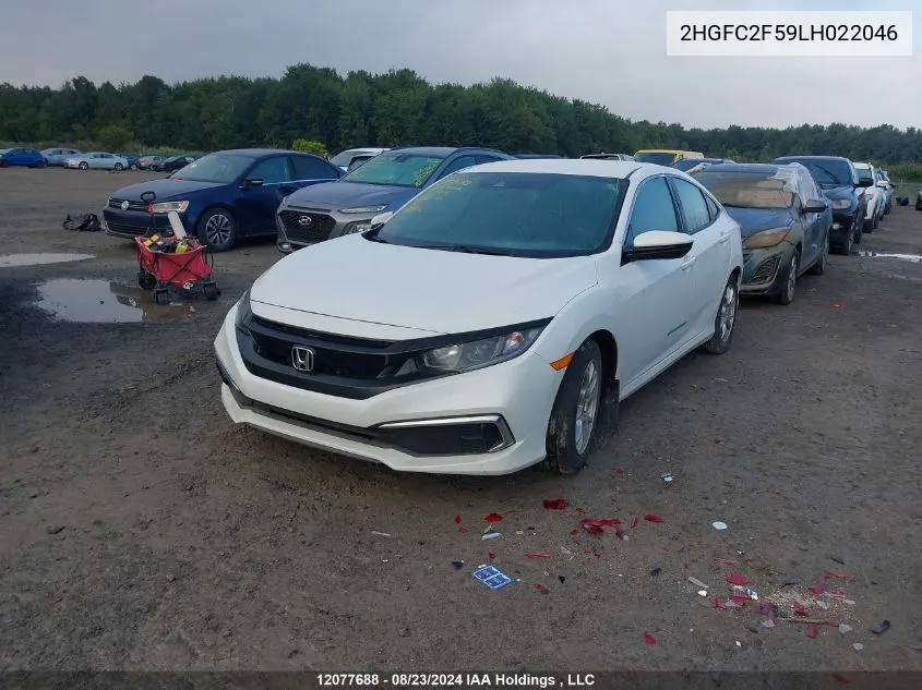 2020 Honda Civic VIN: 2HGFC2F59LH022046 Lot: 12077688