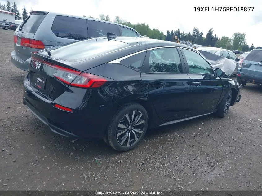 2024 Honda Civic Ex-L VIN: 19XFL1H75RE018877 Lot: 39294279