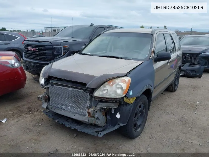 2005 Honda Cr-V Lx VIN: JHLRD78525C810209 Lot: 12066823