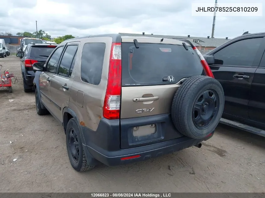 2005 Honda Cr-V Lx VIN: JHLRD78525C810209 Lot: 12066823