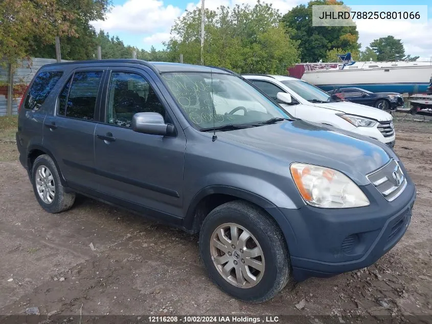 2005 Honda Cr-V VIN: JHLRD78825C801066 Lot: 12116208