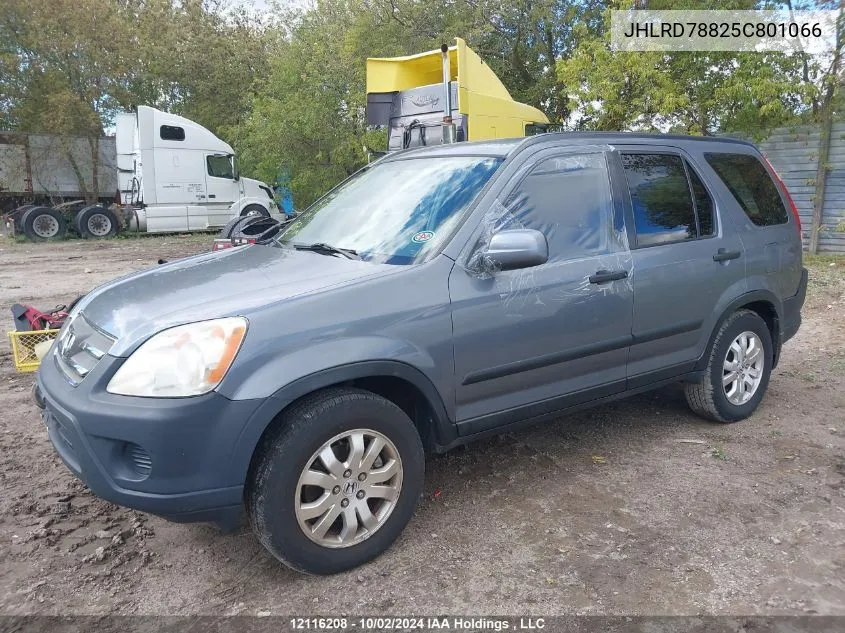 2005 Honda Cr-V VIN: JHLRD78825C801066 Lot: 12116208