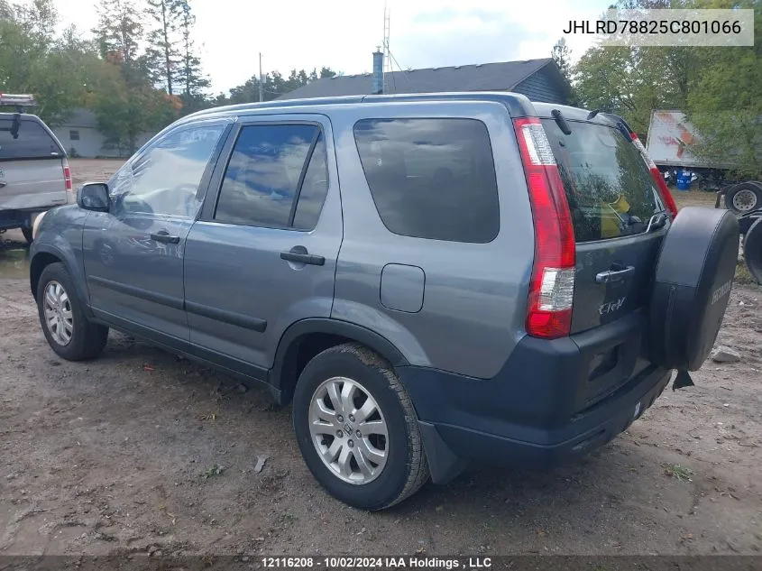 2005 Honda Cr-V VIN: JHLRD78825C801066 Lot: 12116208