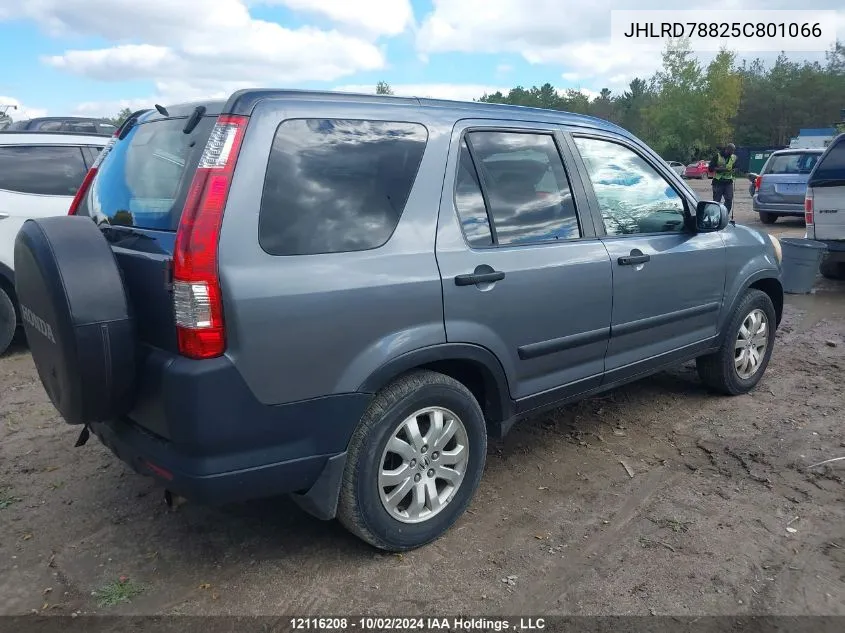 2005 Honda Cr-V VIN: JHLRD78825C801066 Lot: 12116208