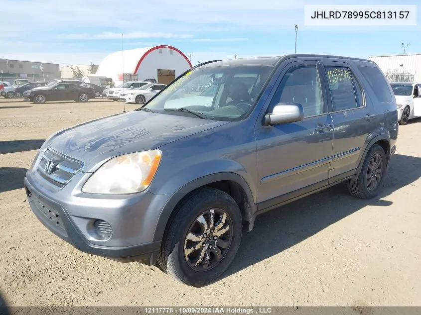 2005 Honda Cr-V VIN: JHLRD78995C813157 Lot: 12117778