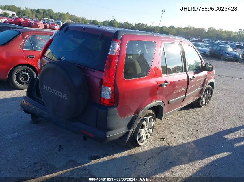 2005 Honda Cr-V Ex VIN: JHLRD78895C023428 Lot: 40461651