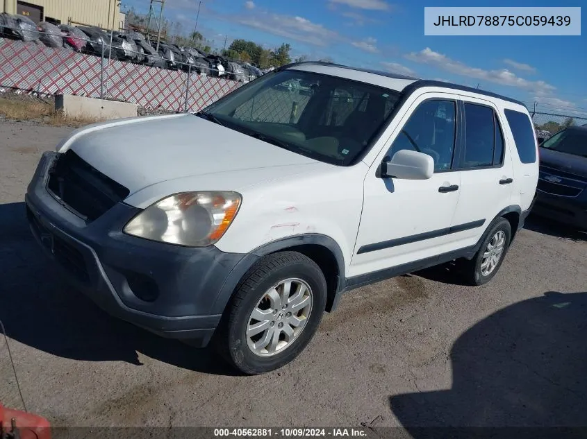 2005 Honda Cr-V Ex VIN: JHLRD78875C059439 Lot: 40562881