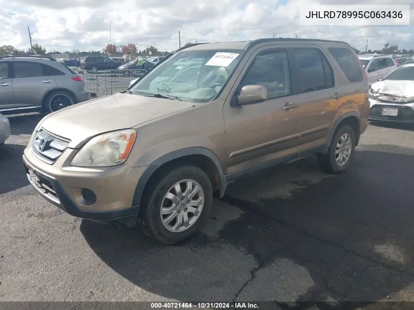 2005 Honda Cr-V Se VIN: JHLRD78995C063436 Lot: 40721464