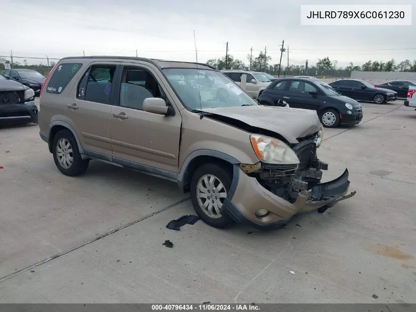 2006 Honda Cr-V Se VIN: JHLRD789X6C061230 Lot: 40796434