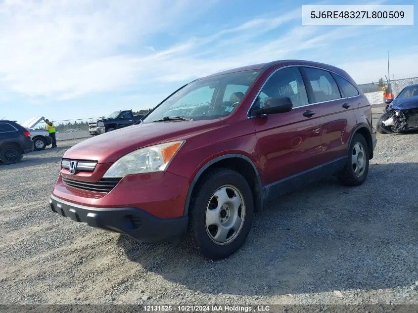 2007 Honda Cr-V VIN: 5J6RE48327L800509 Lot: 12131525