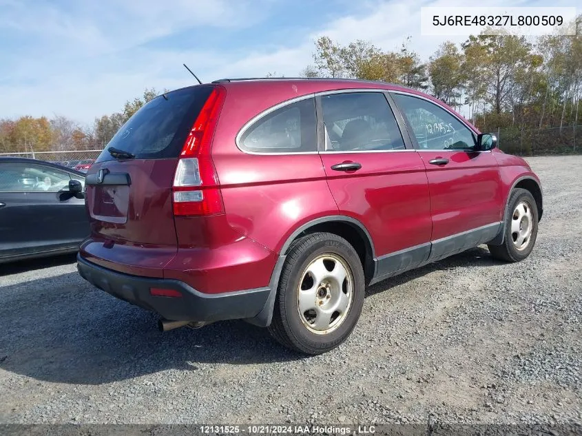 2007 Honda Cr-V VIN: 5J6RE48327L800509 Lot: 12131525