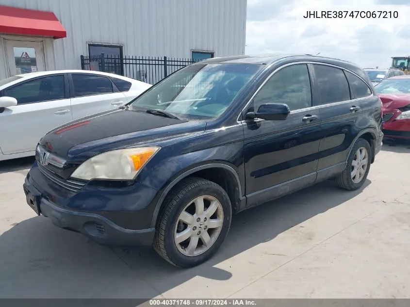 2007 Honda Cr-V Ex-L VIN: JHLRE38747C067210 Lot: 40371748