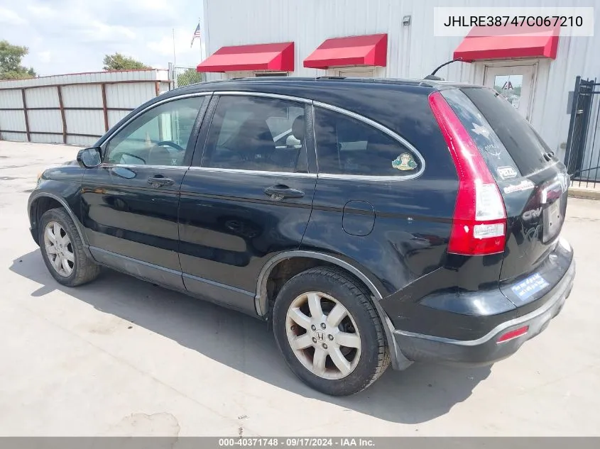 2007 Honda Cr-V Ex-L VIN: JHLRE38747C067210 Lot: 40371748