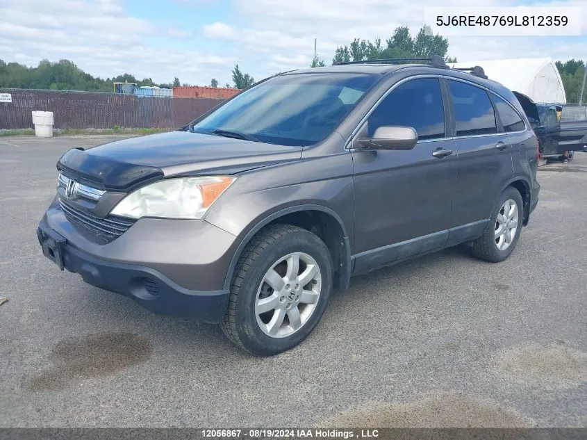 2009 Honda Cr-V VIN: 5J6RE48769L812359 Lot: 12056867