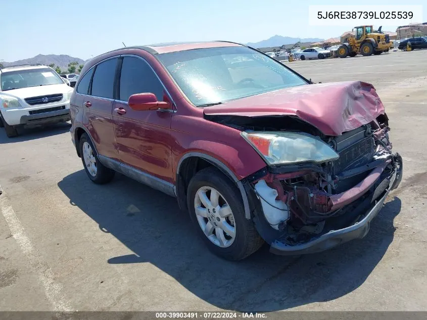 5J6RE38739L025539 2009 Honda Cr-V Ex-L