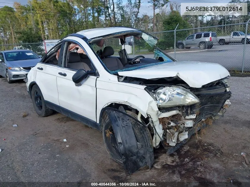 2009 Honda Cr-V Lx VIN: 5J6RE38379L012614 Lot: 40544356