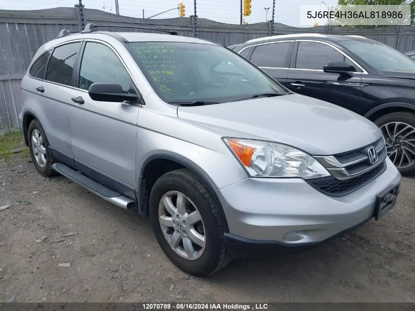 2010 Honda Cr-V Lx VIN: 5J6RE4H36AL818986 Lot: 12070789