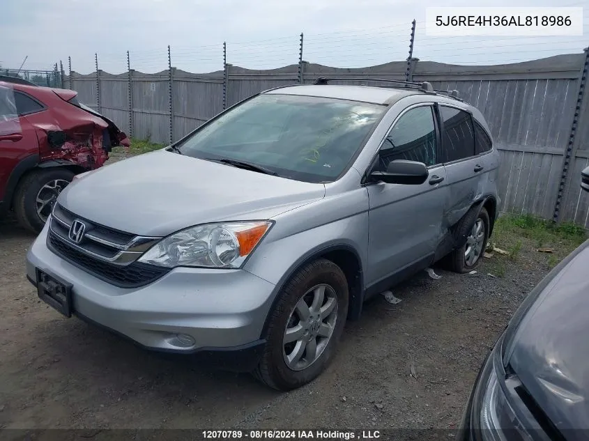 2010 Honda Cr-V Lx VIN: 5J6RE4H36AL818986 Lot: 12070789