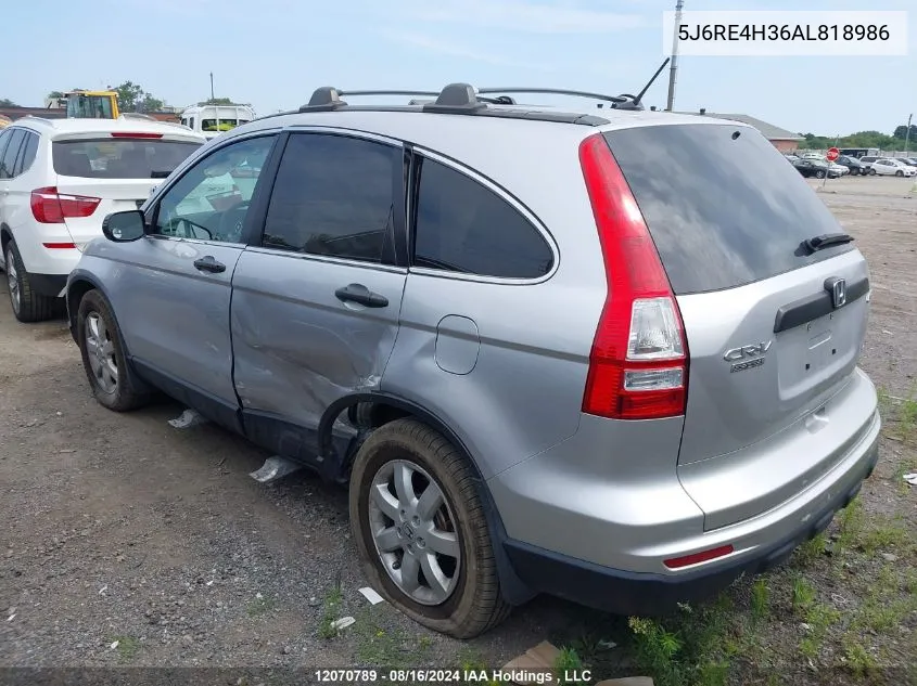 2010 Honda Cr-V Lx VIN: 5J6RE4H36AL818986 Lot: 12070789