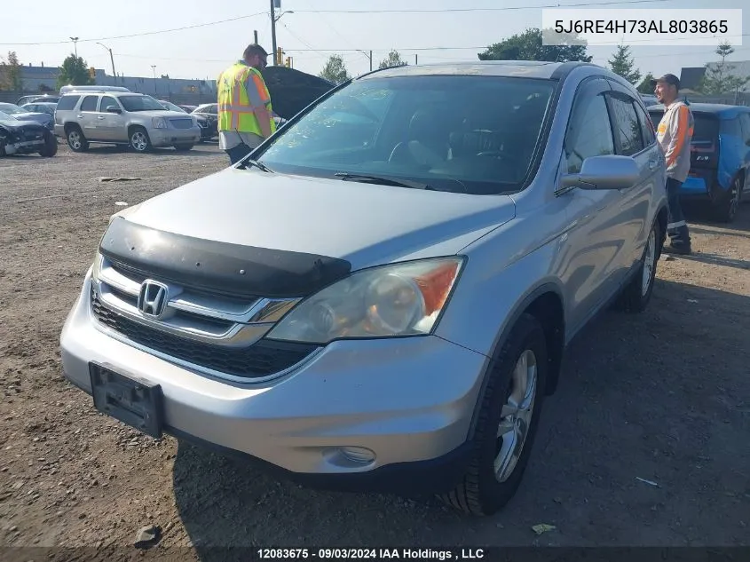 2010 Honda Cr-V VIN: 5J6RE4H73AL803865 Lot: 12083675