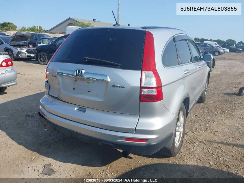 2010 Honda Cr-V VIN: 5J6RE4H73AL803865 Lot: 12083675