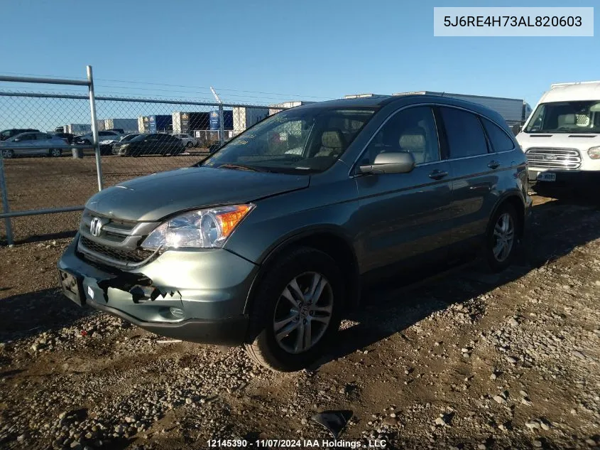 2010 Honda Cr-V VIN: 5J6RE4H73AL820603 Lot: 12145390