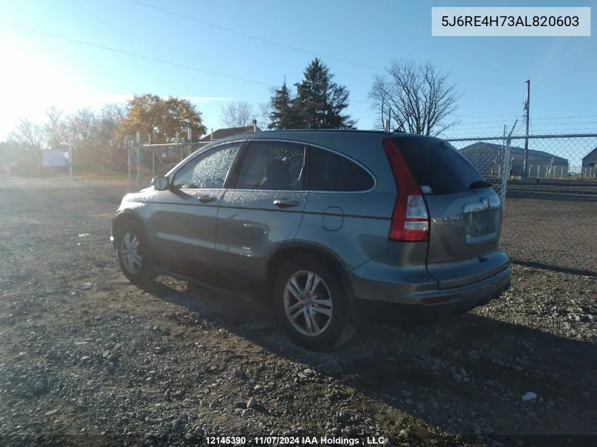 2010 Honda Cr-V VIN: 5J6RE4H73AL820603 Lot: 12145390