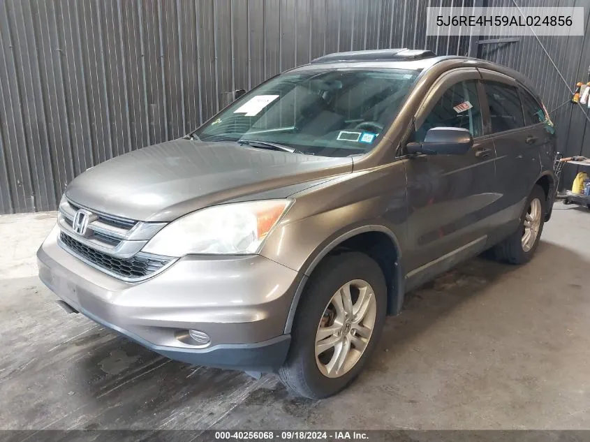 2010 Honda Cr-V Ex VIN: 5J6RE4H59AL024856 Lot: 40256068