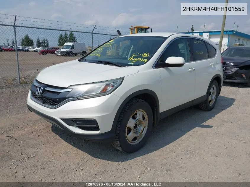 2015 Honda Cr-V VIN: 2HKRM4H40FH101559 Lot: 12070978