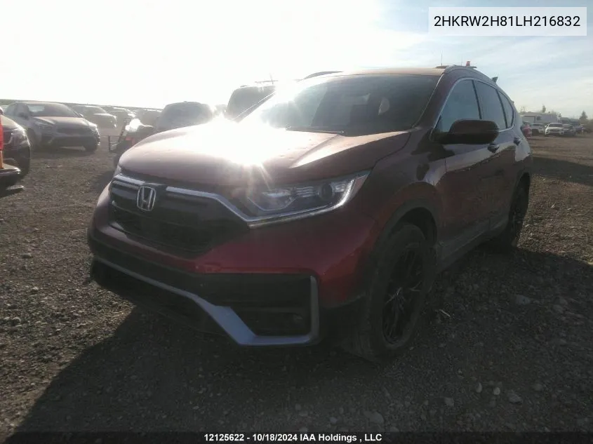 2020 Honda Cr-V VIN: 2HKRW2H81LH216832 Lot: 12125622