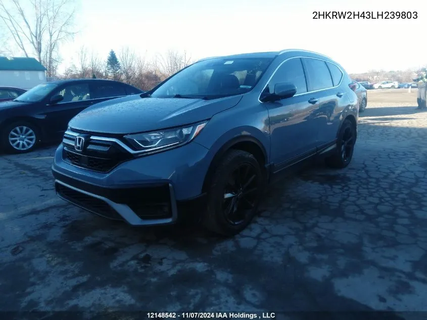 2020 Honda Cr-V VIN: 2HKRW2H43LH239803 Lot: 12148542